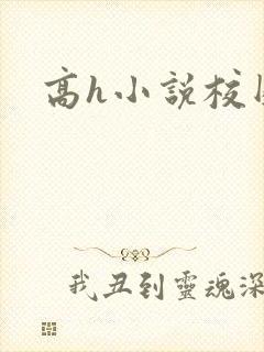 高h小说校园