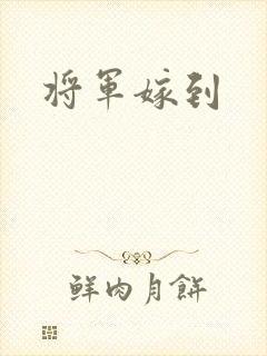将军嫁到