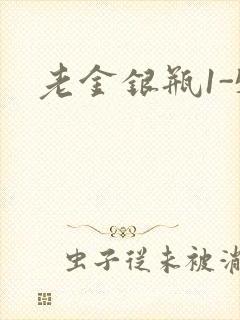 老金银瓶1-5