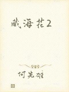 藏海花2