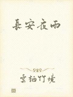长安夜雨