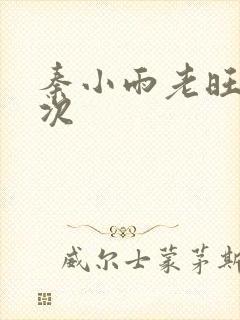 秦小雨老旺第一次
