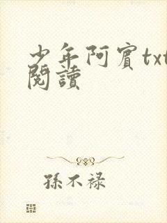 少年阿宾txt阅读