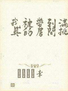 我被带到满是玩具的房间挑调作文