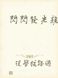 闪闪发光亲情会