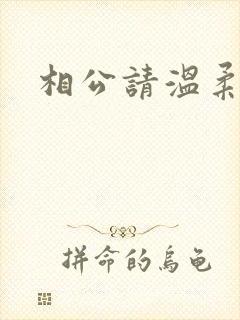 相公请温柔一点