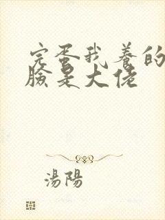 完蛋我养的小白脸是大佬