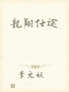 龙翔仕途