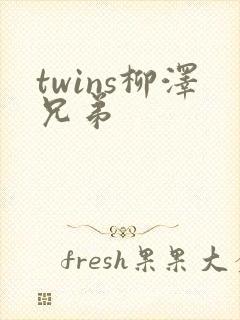 twins柳泽兄弟