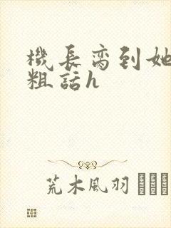 机长脔到她哭h粗话h