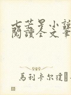 七芒星小说免费阅读全文笔趣阁