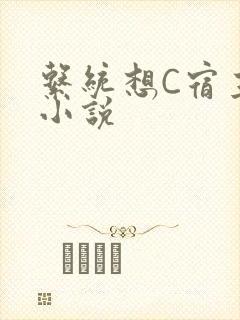 系统想C宿主的小说