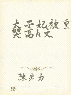 太子妃被皇上c哭高h文