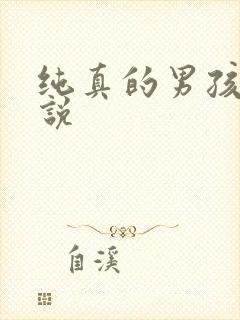 纯真的男孩子小说