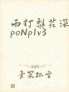 雨打梨花深闭门poNp1v3