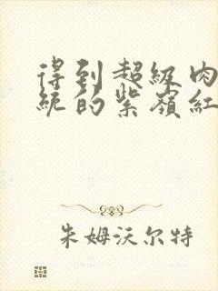 得到超级肉禽系统的紫岭红山