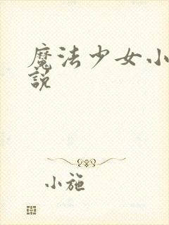 魔法少女小圆小说