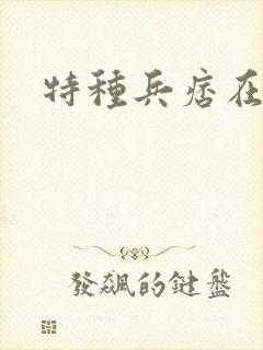 特种兵痞在都市
