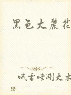 黑色大丽花图片