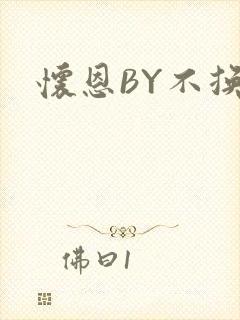 怀恩BY不换