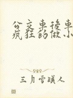 公交车后车座的疯狂的做小