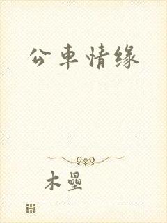 公车情缘