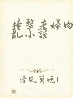 撞击老妇肉体之乱小说