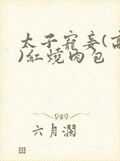 太子宠妾(高肉)红烧肉包