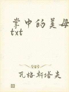 掌中的美母版主txt