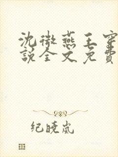 沈微燕王穿越小说全文免费阅读