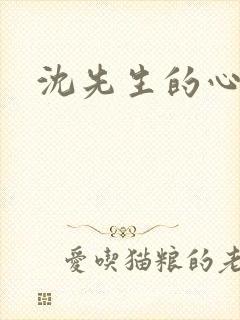 沈先生的心头宝