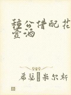 种公借配花间一壶酒