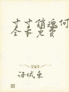 寸寸销魂何生祥全本免费