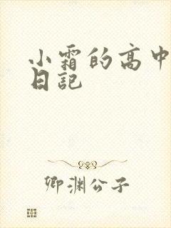 小霜的高中成长日记