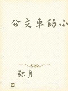 公交车的小说
