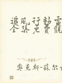 追风行动电视剧全集免费观看