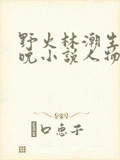 野火林潮生林晚晚小说人物野火
