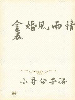 金婚风雨情演员表