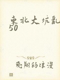 东北大坑乱1—50