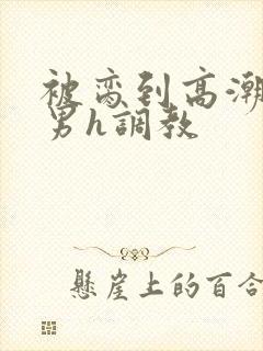 被脔到高潮的直男h调教