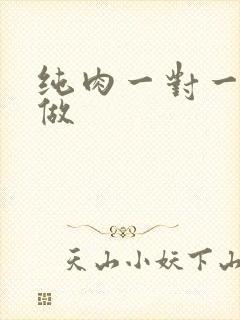 纯肉一对一到处做