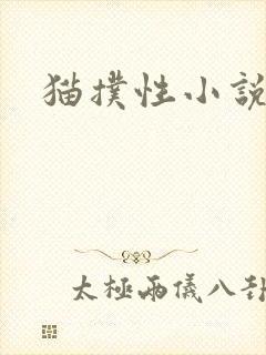 猫扑性小说