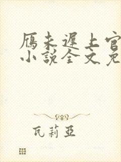 雁未迟上官穿越小说全文免费阅读