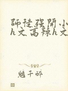 师徒强开小嫩苞h文高辣h文