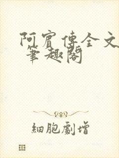 阿宾传全文阅读 笔趣阁