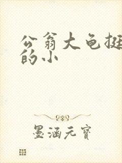 公翁大龟挺进我的小