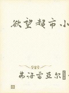 欲望超市小说