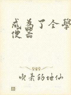 成为了全学校坐便器