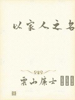 以家人之名小说