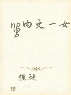 np肉文一女多男